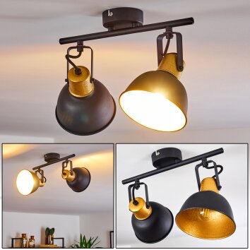 Lámpara de Techo Blackburn Negro-dorado, 2 luces