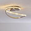 Saginaw Lámpara de Techo LED Níquel-mate, 1 luz, Mando a distancia, Cambia de color