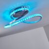 Saginaw Lámpara de Techo LED Níquel-mate, 1 luz, Mando a distancia, Cambia de color