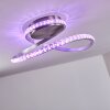 Saginaw Lámpara de Techo LED Níquel-mate, 1 luz, Mando a distancia, Cambia de color