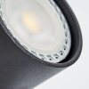 Rubeltein Lámpara de Techo Negro, 2 luces