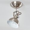 Tina Lámpara de Techo Níquel-mate, 1 luz