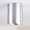 Betsie Lámpara de Techo Níquel-mate, 1 luz