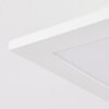 Sordos Lámpara de Techo LED Blanca, 1 luz, Sensor de movimiento