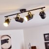Rialey Lámpara de Techo Latón, Negro, 4 luces