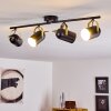 Rialey Lámpara de Techo Latón, Negro, 4 luces
