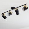 Rialey Lámpara de Techo Latón, Negro, 4 luces