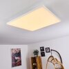 Buenaventura Lámpara de Techo LED Blanca, 1 luz, Mando a distancia