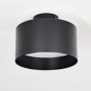 Baraboo Lámpara de Techo LED Negro, 1 luz