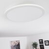 Ailik Lámpara de Techo LED Blanca, 1 luz, Mando a distancia