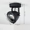 Glostrup Lámpara de Techo LED Negro, 1 luz