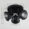 Glostrup Lámpara de Techo LED Negro, 3 luces