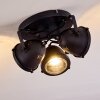 Glostrup Lámpara de Techo LED Negro, 3 luces
