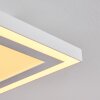 Salamo Lámpara de Techo LED Blanca, 2 luces