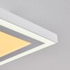 Salamo Lámpara de Techo LED Blanca, 2 luces, Mando a distancia