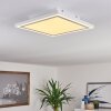 Salamo Lámpara de Techo LED Blanca, 2 luces