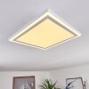 Salamo Lámpara de Techo LED Blanca, 2 luces