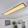 Nexo Lámpara de Techo LED Negro, 1 luz, Mando a distancia