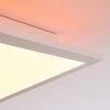 Turbalá Lámpara de Techo LED Blanca, 2 luces, Mando a distancia, Cambia de color