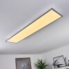 Nexo Lámpara de Techo LED Blanca, 1 luz