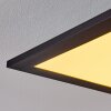 Nexo Lámpara de Techo LED Negro, 1 luz, Mando a distancia
