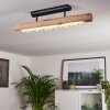 Rodeche Lámpara de Techo LED Madera clara, Negro, 1 luz