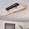 Rodeche Lámpara de Techo LED Madera clara, Negro, 1 luz