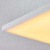 Salamo Lámpara de Techo LED Blanca, 1 luz, Mando a distancia
