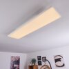 Buenaventura Lámpara de Techo LED Blanca, 1 luz, Mando a distancia