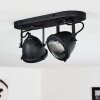 Glostrup Lámpara de Techo Negro, 2 luces