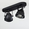 Glostrup Lámpara de Techo Negro, 2 luces