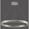 Paul Neuhaus Q-VITO Lámpara Colgante LED Acero inoxidable, 1 luz, Mando a distancia