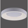 Leuchten-Direkt ANIKA Lámpara de Techo LED Blanca, 1 luz, Mando a distancia