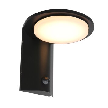 Steinhauer Luzon Aplique para exterior LED Negro, 1 luz