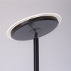 Leuchten-Direkt HANS Lámpara de Pie LED Negro, 2 luces Leuchten-Direkt HANS Lámpara de Pie LED Negro, 2 luces