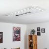 Turbalá Lámpara de Techo LED Blanca, 1 luz, Mando a distancia, Cambia de color Turbalá Lámpara de Techo LED Blanca, 1 luz, Mando a distancia, Cambia de color