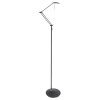 Steinhauer Zodiac Lámpara de Pie LED Negro, 2 luces