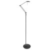 Steinhauer Zodiac Lámpara de Pie LED Negro, 2 luces