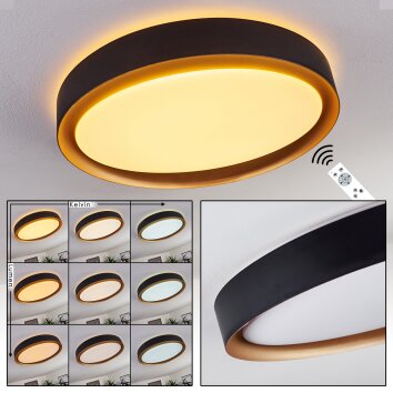 Beade Lámpara de Techo LED dorado, Negro, 1 luz, Mando a distancia