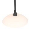 Steinhauer Tallerken Lámpara Colgante LED Níquel-mate, 3 luces