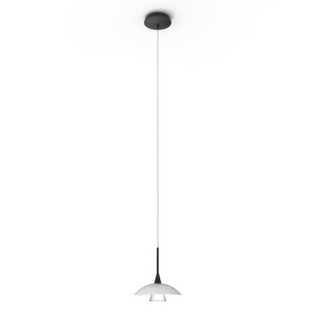 Steinhauer Tallerken Lámpara Colgante LED Negro, 1 luz