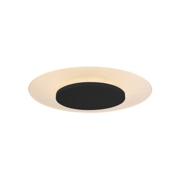 Steinhauer Lido Lámpara de Techo LED Negro, 1 luz