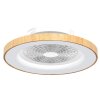 Mantra TIBET Ventilador de techo LED Madera oscura, Blanca, 1 luz, Mando a distancia