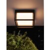 Mantra CHAMONIX Lámpara de techo para exterior LED Gris, 1 luz