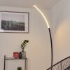 Tobillos Lámpara de Pie LED Negro, 1 luz