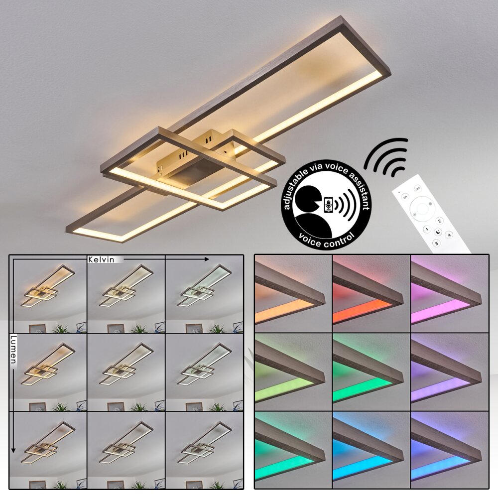 Momahaki Lámpara de Techo LED Níquel-mate, 1 luz, Mando a distancia main product photo