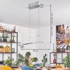 Balcairn Lámpara Colgante LED Cromo, 4 luces