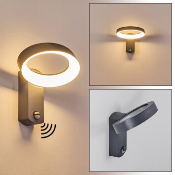 Carinola Aplique para exterior LED Antracita, 1 luz, Sensor de movimiento