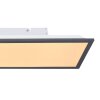 Globo DORO Panel LED Blanca, 1 luz