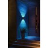 Philips Hue White & Color Ambiance Resonate Aplique LED Negro, 2 luces